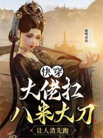 风月都市后宫录电子书